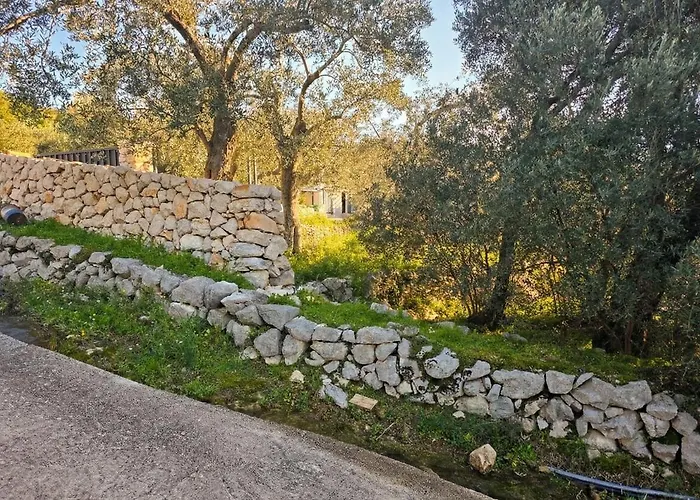 Olive Oasis With Private Jacuzzi And Summer Kitchen * Orašac
