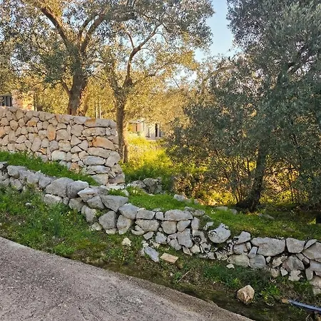 Olive Oasis With Private Jacuzzi And Summer Kitchen * Orasac