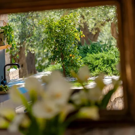 Olive Oasis With Private Jacuzzi And Summer Kitchen