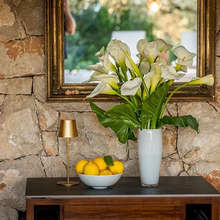 Ferienhaus Olive Oasis With Private Jacuzzi And Summer Kitchen