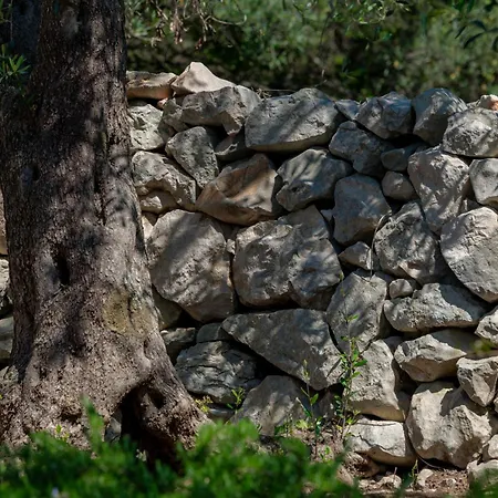 Olive Oasis With Private Jacuzzi And Summer Kitchen Orasac