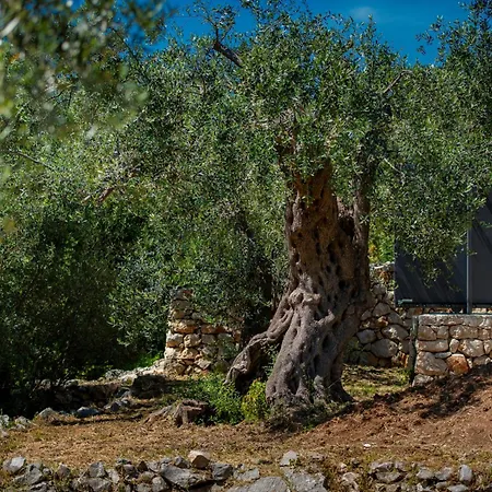 Olive Oasis With Private Jacuzzi And Summer Kitchen Ferienhaus Orasac